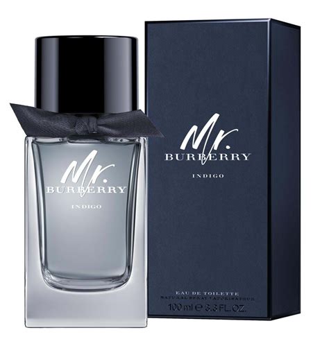 burberry indigo for men|burberry indigo cologne for men.